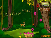 Click to Play Flower Pocket