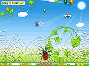 Click to Play Spider Hunt