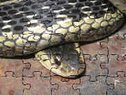Click to Play Common Garter Snake Jigsaw Puzzle