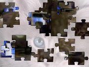 Click to Play Kitten VIDEO Jigsaw