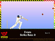 Click to Play Top Spinner Cricket