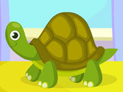 Click to Play Turtle Care